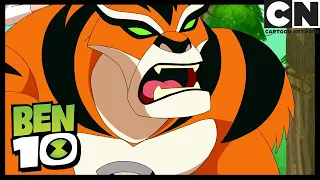 Ben and Gwen Search For An Alien Signal | Summer Breakers | Ben 10 | Cartoon Network