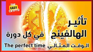 أكثر عملة أشتريها في محفظتي  | ماذا يحدث في كل هالفينج ؟