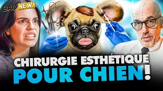 CHIRURGIE ESTHÉTIQUE POUR CHIEN !  - BADNEWS #269 Ft @bakaboo_