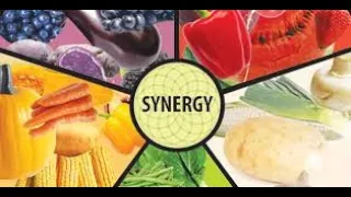 Food Synergy And Benefits - Facts With Marky