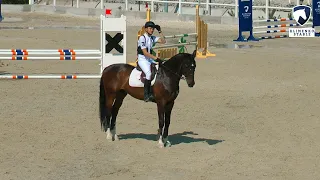 90 см. Открытый класс. Конкур в Днепропетровске. КСК "Klimenko Stable". 16.06.2018 г.