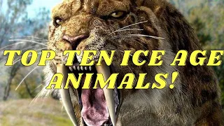 Top 10 ice age animals!