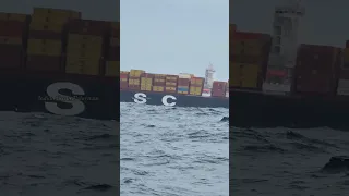 MSC Cargo Ship Crossing on our boat in deep sea #shorts #fishing