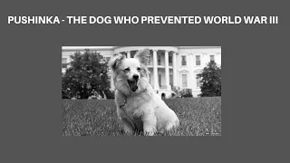 PUSHINKA - THE DOG WHO PREVENTED WORLD WAR III
