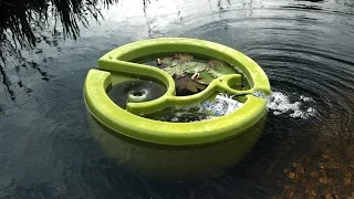 World's first floating Natural Pool filter - OLIVE : Organic Pool Filter