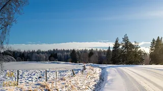 Relaxing Sunny Drive in Sweden | Countryside Landscapes!