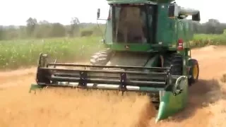 Harvesting Oat Crop