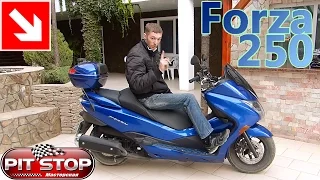 Honda Forza 250 2010 г.в. Моё мнение