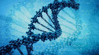 Репликация ДНК. Эволюция Генома человека. Константин Северинов
