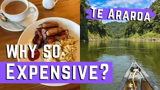 Why is Te Araroa SO EXPENSIVE?!?! My Thoughts on Why It Costs So Much to Hike Te Araroa