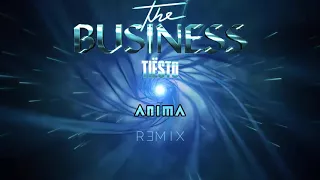 Tiësto - The Business [DJ ANIMA Remix]