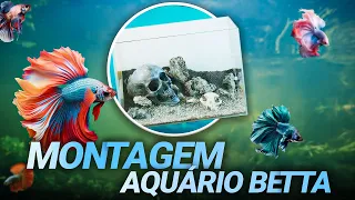 MONTANDO UM AQUÁRIO DE PEIXES BETTA! [ FAZENDA SUBMERSA ]