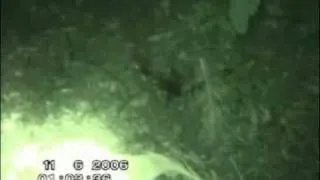 "THE FALLEN ANGEL" -Real Angel caught on video .