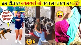 Most Funniest Animals Videos 2023 । इन जानवरों से पंगा ना बाबा ना 😜😂 । Mr Box Info