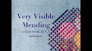 Very Visible Mending - a days work in 1,5 minutes