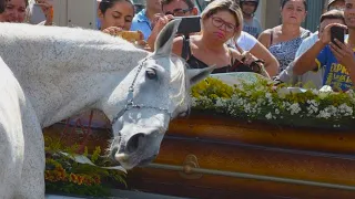 Лошадь пришла на похороны любимого хозяина чтобы попрощаться, это разбило сердца присутствующих.