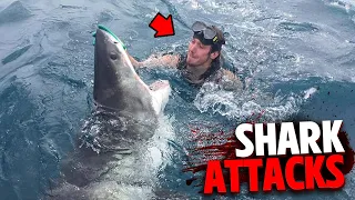 This Shark Bites Mans HEAD OFF!