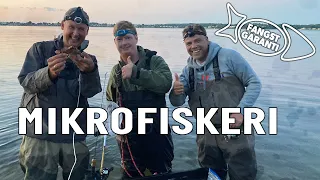 ULTRANØRDER PÅ MIKROFISKERI // FANGSTGARANTI