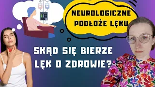 Zaburzenia lękowe - SKĄD się biorą? Jaka TERAPIA lęku? Lęk o zdrowie, hipochondria, | O, choroba!