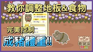 如何搭配不同地板&食物，完美控制豬豬體重! 🐷 | 養豬場MIX | N9Games遊戲分享 🐳