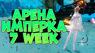 АРЕНА 3Х3, ВРЫВАЕМСЯ В 7-Ю НЕДЕЛЮ ИБ +, БИТВА ДИНАСТИЙ PERFECT WORLD