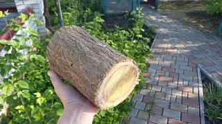 Деревянный бочонок из шелковицы DIY | Как сделать бочку из дерева своими руками