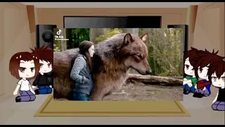 Twilight wolves react to Jacob