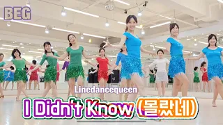 I Didn't Know (몰랐네) Line Dance l Beginner l Linedancequeen