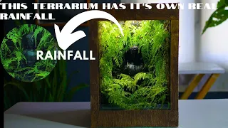 making a healing rain garden | rainfall paludarium