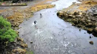 3/4 Bare handed river fishing for salmon in Alaska, Ben and Scott Poole