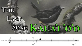 Kaua'i 'o'o - The Last Song (Transcribed & Performed)