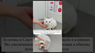 Добрапитомовцы передают привет с домашних передержек 🥰