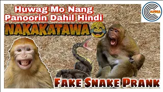 Fake Snake Prank! Sobrang Nakakatawa To! | Curious Media PH