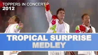 De Toppers - Tropical Surprise Medley 2012 | Toppers In Concert 2012