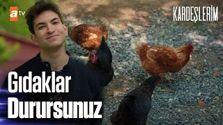 ''Okulu satın aldım, siz kümeste gıdaklayın!''- @kardeşlerim 53. Bölüm