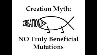 Creation Myth: NO Truly Beneficial Mutations