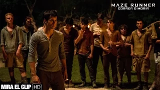 MAZE RUNNER: CORRER O MORIR -  Clip: Cuchillo