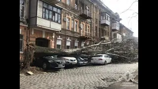 Ураганный ветер  в Одессе, валит деревья,  срывает крыши, опрокидывает заборы : уже есть  погибшие