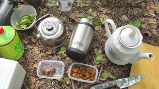 Как заварить лесной чай из чаги? Способы приготовления