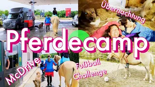 PFERDECAMP Folge 100 | 24h Challenge mit McDrive | Übernachten im Stall 😍🐴