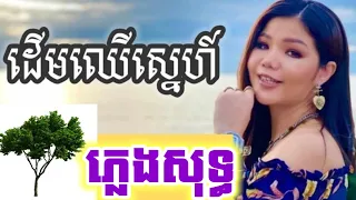 ដើមឈើស្នេហ៍ ភ្លេងសុទ្ធ មាសសុខសោភា