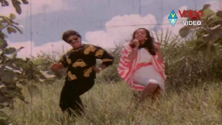 Manchi Donga Movie Songs - Mudde Pettamantava - Chiranjeevi Suhasini