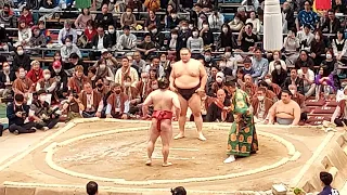 朝乃山VS炎鵬