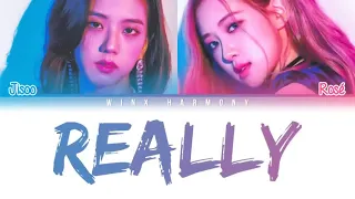 BLACKPINK   Jisoo & Rosé ALL RAPS Color Coded Lyrics Eng Rom Han 가사