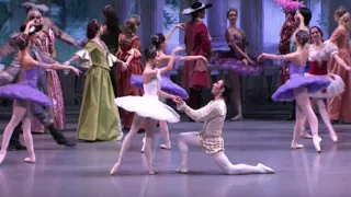 CELEBRATE YOUR VALENTINE EARLY WITH THE RUSSIAN NATIONAL BALLET