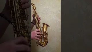 Lambada Sax Saxophone - Ламбада на Саксофоне