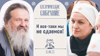 Мы должны перешагнуть логику этого мира.Сестрическое собрание с отцом Андреем Лемешонком