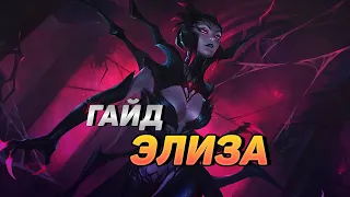 КАК ИГРАЮТ МАСТЕРА ЗА ЭЛИЗУ ◾ Элиза vs БелВет ◾ Гайд на Элизу [Elise] ◾ Лига Легенд