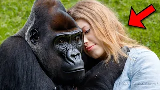 The shocking reunion between woman and gorillas