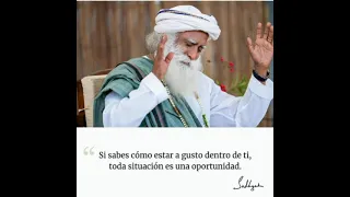 INGENIERÍA INTERIOR libro de SADHGURU